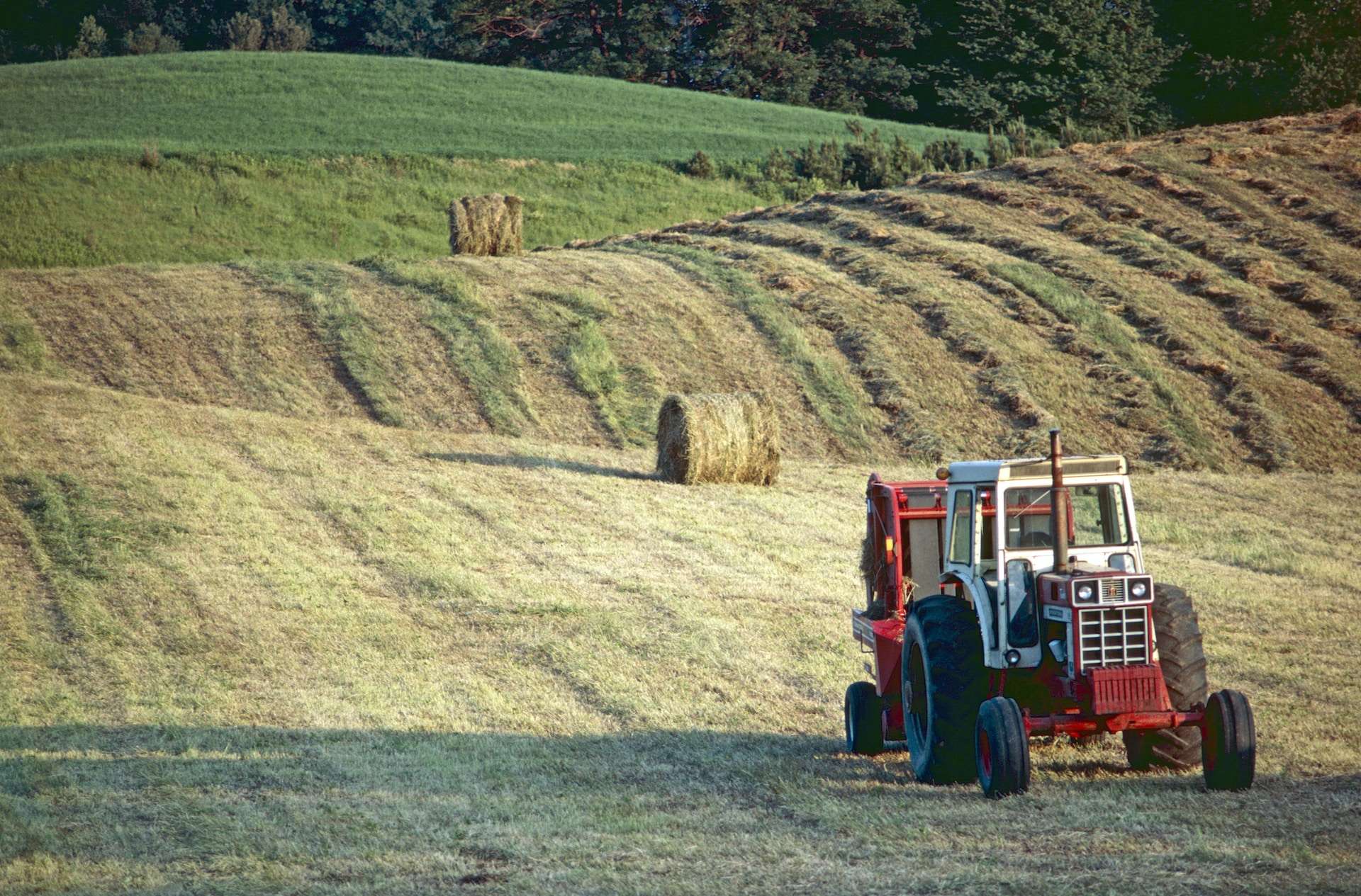 Read more about the article Beyond Veganuary: How climate change is affecting our food supply, and what we can do about it.